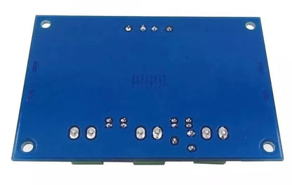 TPA3116 D2 DA DC 12V - 24V 100W Mono Channel Digital Power Audio Amplifier Board - THE TECH STATION UK